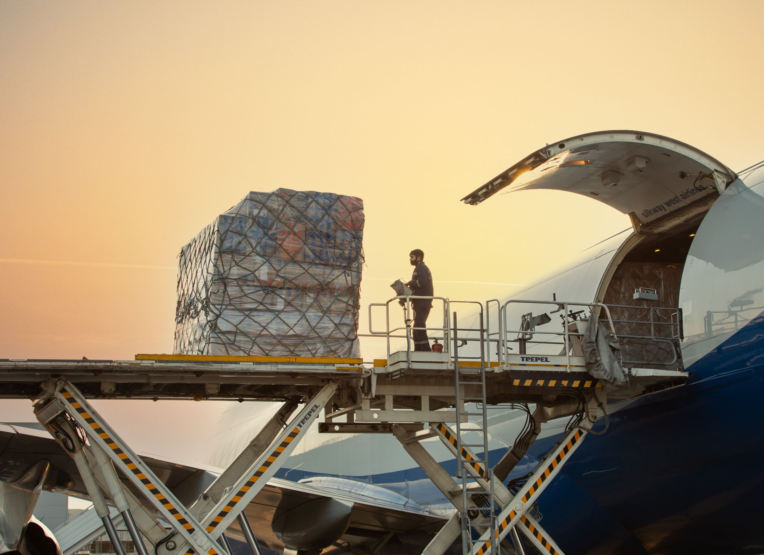 Cargo search